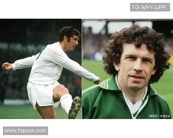 爱尔兰足球明星的辉煌历程与成就探秘