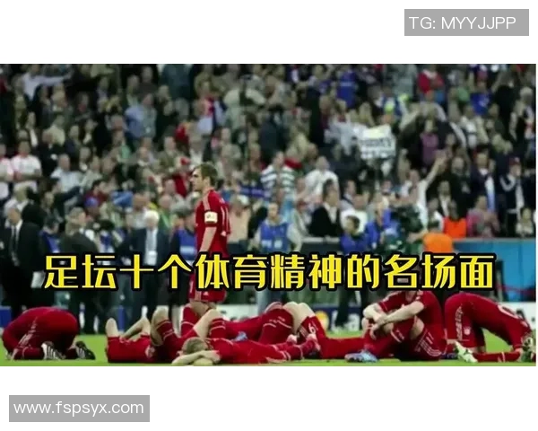 多个足球明星同屏竞技展现球场魅力与团队精神的精彩瞬间