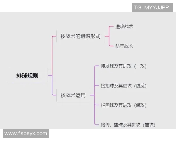 成都排球队进攻体系解析：排球战术的创新与实践探索